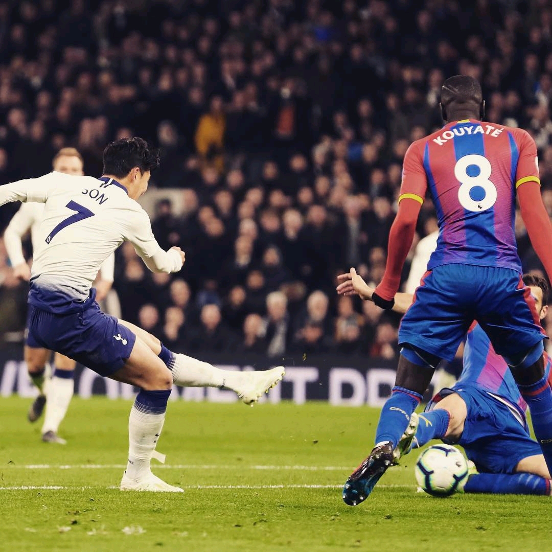 甚至可能成 甚至可能成